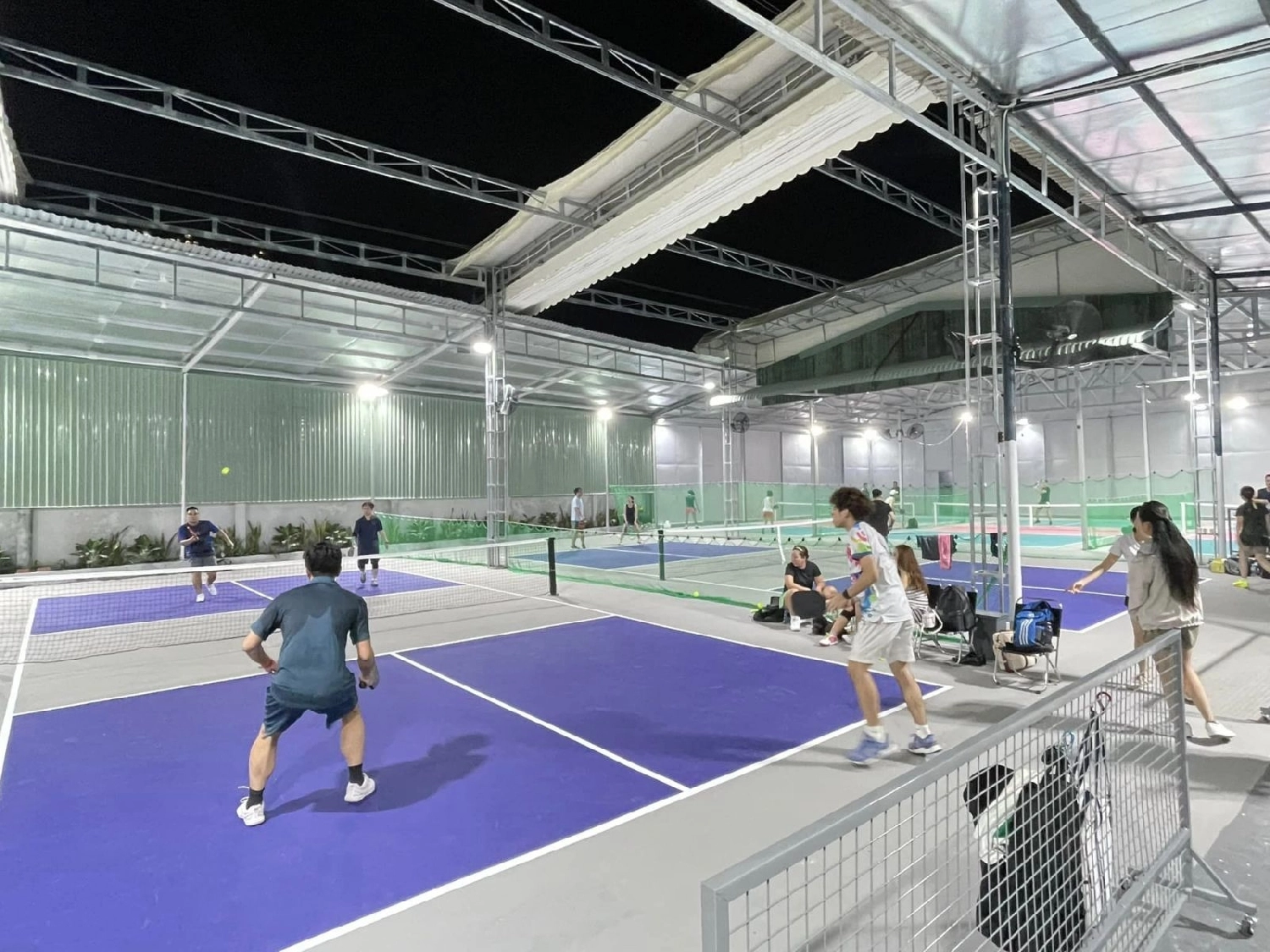 Tổng hợp danh sách các sân Pickleball quận 7 đáng chơi nhất hiện nay | ShopVNB